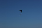IMG 2362