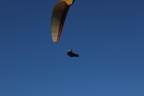 IMG 2367