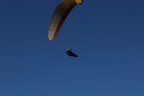 IMG 2368