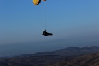 IMG 2376