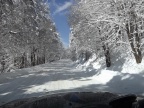 DSCF9564