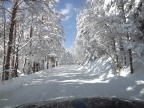 DSCF9565