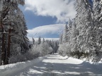 DSCF9566