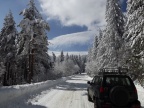 DSCF9568
