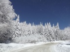 DSCF9569