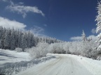DSCF9571