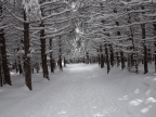DSCF9573