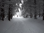 DSCF9574