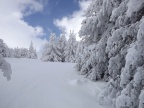 DSCF9575