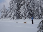 DSCF9576