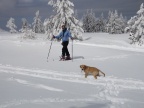 DSCF9583