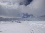 DSCF9588