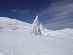 DSCF9594